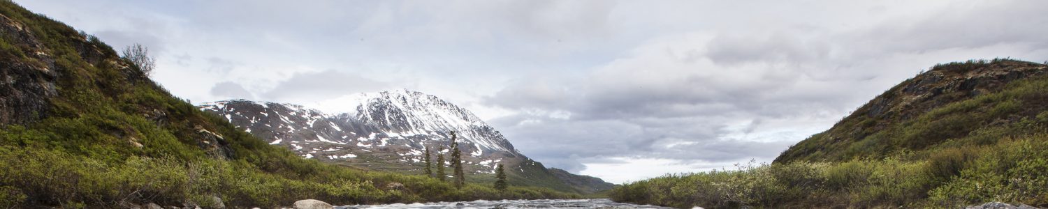 Delta Wild and Scenic River in Alaska