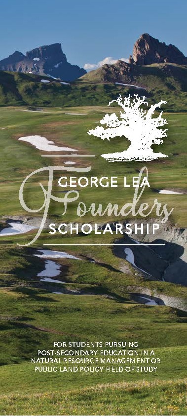 Scholarships